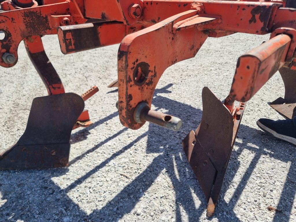 Charrua vinhateira Joper 5F Senior cheio