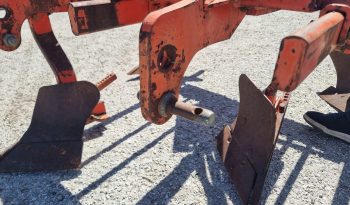 Charrua vinhateira Joper 5F Senior cheio