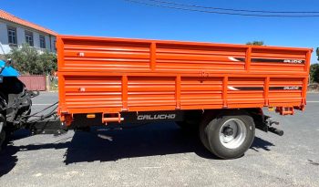 Galucho PB 6250 Medidas (4,00 x 2,20 x 0,50) cheio